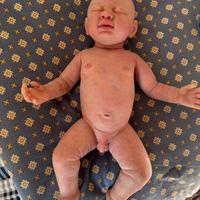 Neonato reborn
