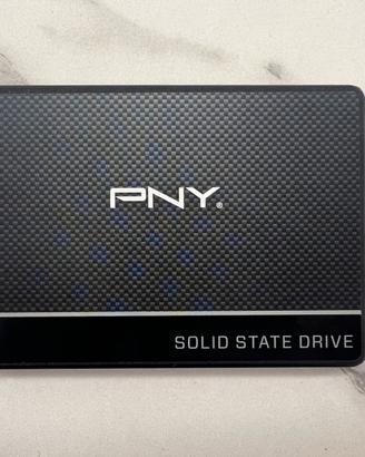 SSD 2.5 Pny CS900 500Gb