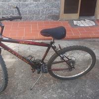 Bicicletta Mountain bike