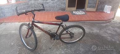 Bicicletta Mountain bike