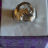 Anello .cavallo