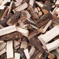 Carpino Nero spaccato