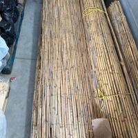 frangivento in cannette