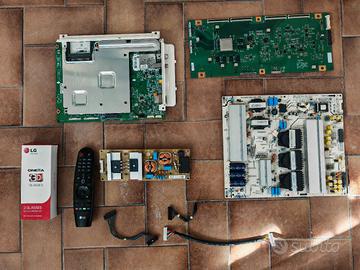 Schede TV OLED 55EG920V