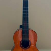 Chitarra acustica