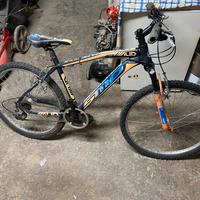 Bici smp