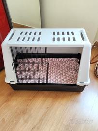 kennel