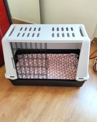 kennel