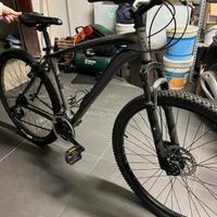 Bici mountain bike