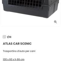 trasportino auto cane grande