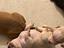 Immagine 5