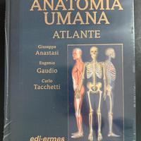 Atlante anatomia