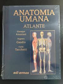 Atlante anatomia