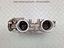 Immagine 8