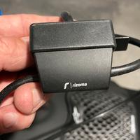 Rizoma luce targa