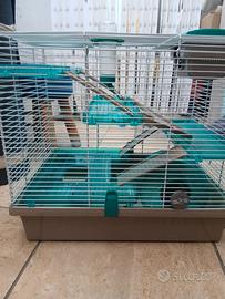 grande gabbia per criceti