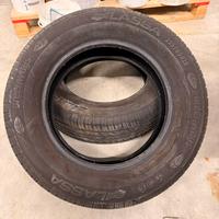 2 Gomme Lassa Greenway 195 65 r15