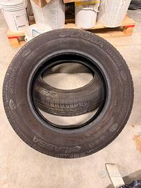 2 Gomme Lassa Greenway 195 65 r15