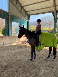 Coperta in pile per cavalli