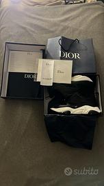 Dior b22