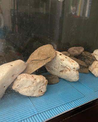Acquario 300 lt