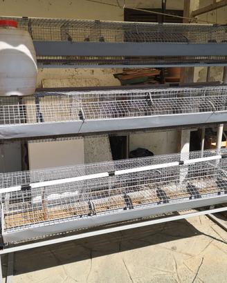 gabbia per conigli da 24 posti.