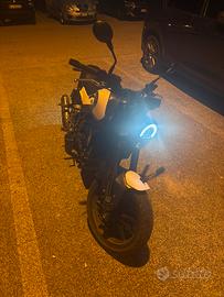benelli leoncino 250