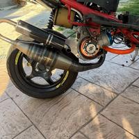 marmitta jolly moto minarelli
