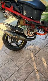 marmitta jolly moto minarelli