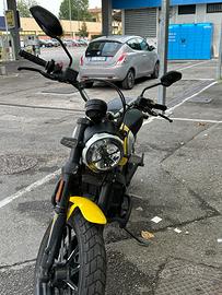 Ducati scrambler icon 800 yellow 2021