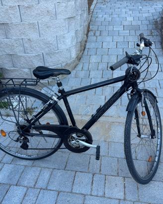 Bicicletta spcialized