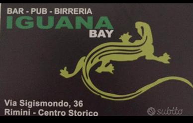Bar iguana