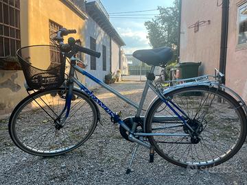 Bici Grandis