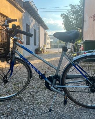 Bici Grandis