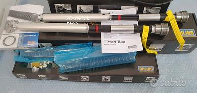 APRILIA RS 660 CARTUCCE OHLINS NIX FGK 243