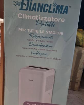 Climatizzatore portatile 