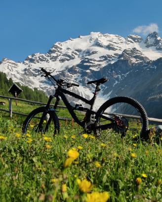 Mtb Mde Damper 27.5  taglia L