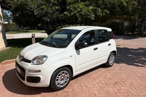 Fiat Panda 319  Anno 2021 1.0 benzina hybrid