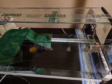 Acquario per tartarughe /tartarughiera 70 litri