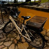 Bicicletta elettrica