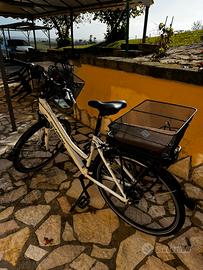 Bicicletta elettrica