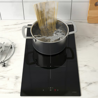 Piastra induzione 2 fuochi Ikea