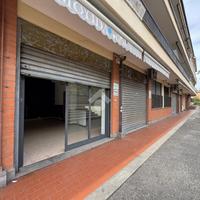 NEGOZIO A ALBANO LAZIALE