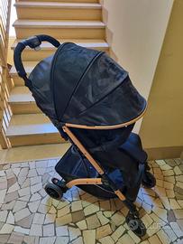 Passegino Cam Compass 2.0