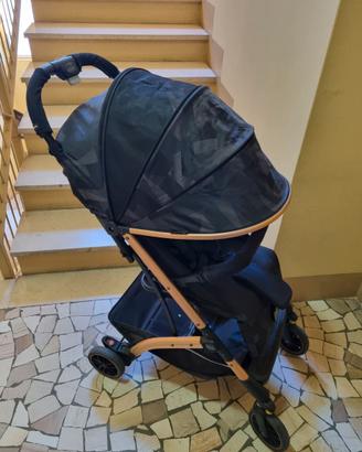 Passegino Cam Compass 2.0