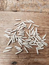 Tappi o sivelli in legno a fiammifero n.50 vintage