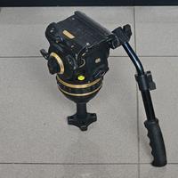 Teasta Fluida Cartoni Gamma