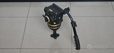 Testa Fluida Cartoni Gamma