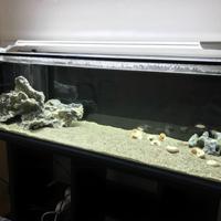Acquario completo