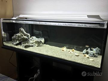 Acquario completo